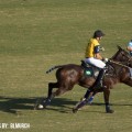 Estancia club de campo y polo