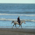 Las mejores playas de Buenos Aires