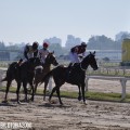 Carreras de caballos en Buenos Aires