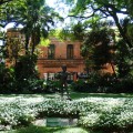 Paseo en el Jardín Botánico de Buenos Aires