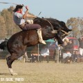 Día de campo tradicional