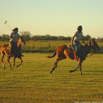 Actividades en Buenos Aires Julio 2012