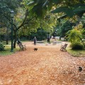 Een speciaal hoekje, de Botanische tuin in Buenos Aires