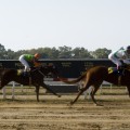 Paardenraces in Buenos Aires
