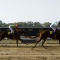 Carreras de caballos