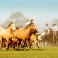 Eten op het platteland, slechts 50 kilometer buiten Buenos Aires